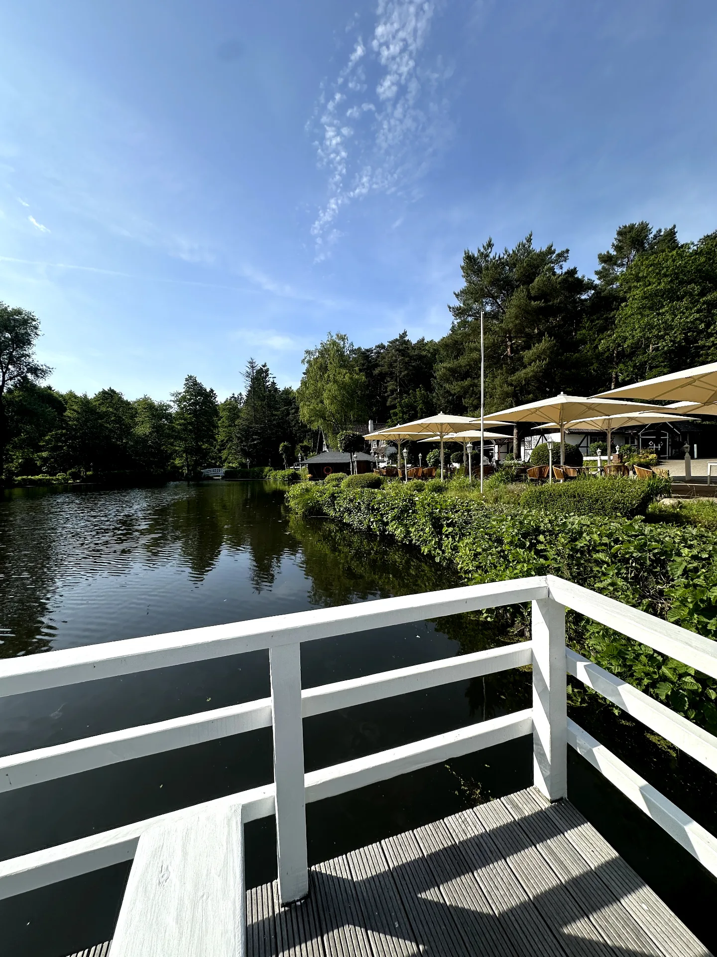 DJ Forte bei Forsthaus Seebergen