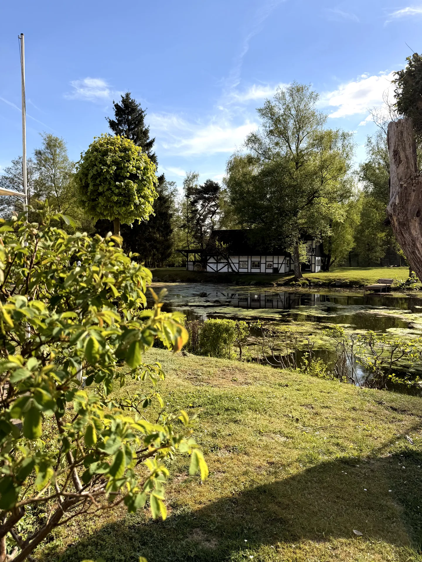 DJ Forte bei Forsthaus Seebergen