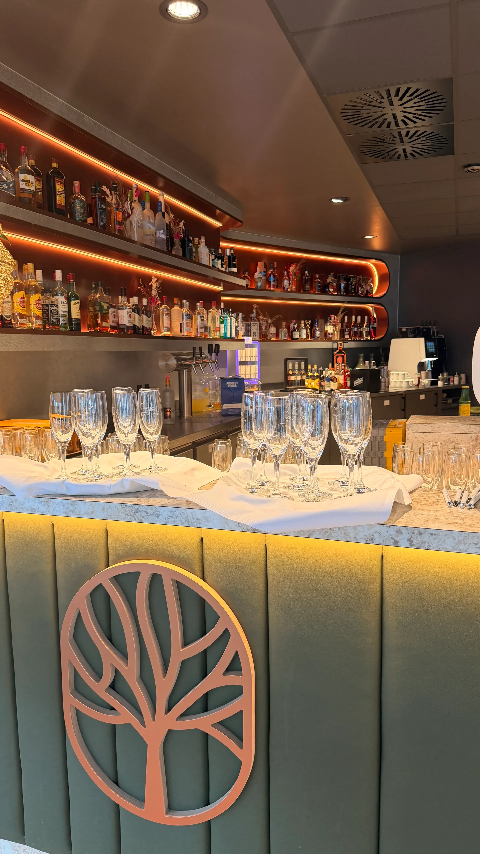 DJ bei der Geburtstagsfeier – Juniper Eventlocation