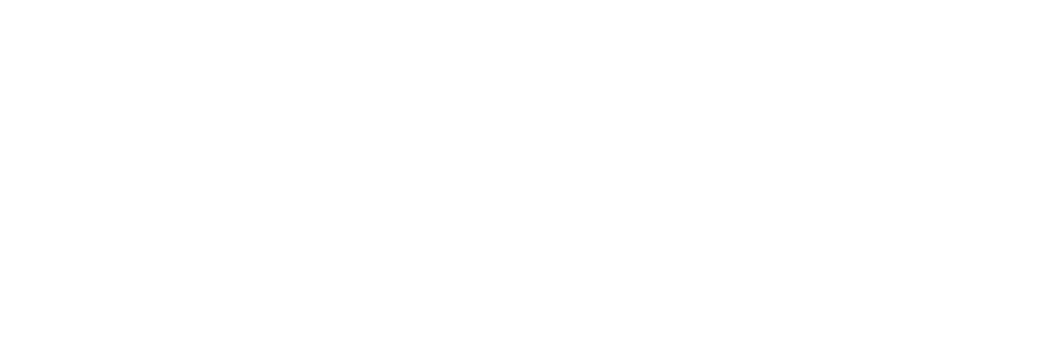DJ Forte Logo